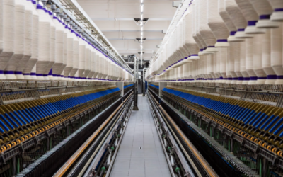 MANUAL DE MEJORES PRÁCTICAS PARA TEJEDORES RECOVER